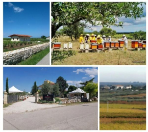B&B Biobonizio PIERLUIGI